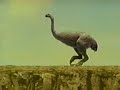 Nissin Cup-O-Noodle Moa Ostrich