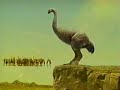 Nissin Cup-O-Noodle Moa Ostrich