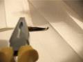 videos de autopsia sanguisuga