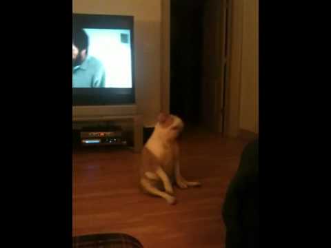See video See video