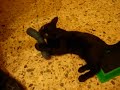 DSCN7051.MOV