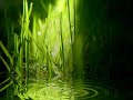 \"The Water\ \"The Water\