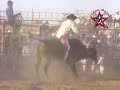 jaripeo en juan martin guanajuato toros de memo ocampo.wmv