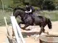 Jumping Beau bareback 2