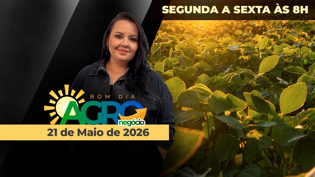 Queda contínua dos grãos em Chicago, soja com leves altas no BR e o mercado de plantas aromáticas