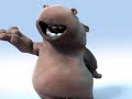 funny hippo sings funny hippo sings