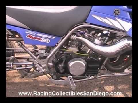 350 warrior 350 warrior