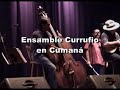 ensamble gurrufio en cumaná apure en un viaje