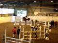 jag och Lucardo hemma tävling (tierps ryttarklubb) den 11 oktober 09