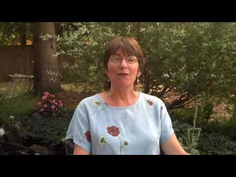 video_img