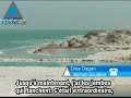 Vers 11h00 ce matin, la région de la mer morte et de Jérusalem a été frappée par une secousse sismique de plus de 4 points sur l'échelle de Richter. Et quand la mer tremble, l'eau s'agite. Pour Dina Dagan, témoin oculaire, une vague de près de 10 mètres a traversé la mer de sel avant de venir mourir sur la côte israélienne. 20/11/2007