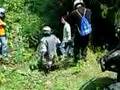 Accident ATV