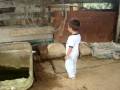 videos de 2009 980
