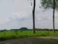 Groene Hart Icoon van Nederland