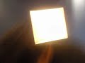 Fun at Work