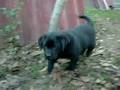 Picture 1761_Archos_.avi