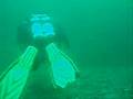 Musac at Greenend Gully, Eyemouth