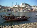 W.E. Porto tourist information