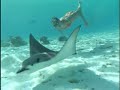 Tahiti Travel Doc  Part 05