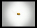 Natural Nutritional Supplement Vitamins