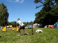 Shegy- puppies agility training