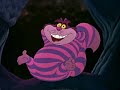 Gato Rison
