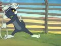 Tom and Jerry - Cowboy Texan @ www.Jocuri.Fr