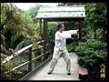 Vitalarts - Eight Pieces Brocade Chi Kung - Ba Duan Jin