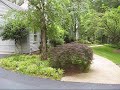 9011 Frontyard 2