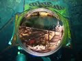 blue grotto   naui scuba training dives 1   2