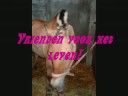 Thumbnail #1
