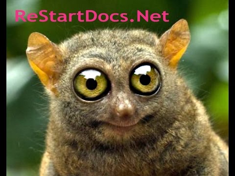 video-linktoworks-How To File Chapter 7 Bankruptcy Without a Lawyer TX...