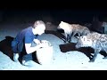 BalazsBuzas_hyena_Harar_20081017.MP4 BalazsBuzas_hyena_Harar_20081017.MP4