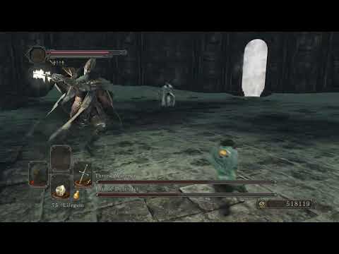 SL1 Throne Watcher and Throne Defender, Dark Souls 2: SotFS