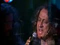 Karapaks iki yol canlı performans
