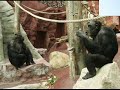 Zoo Gelsenkirchen