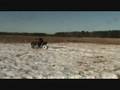 videos de GRIZZLY zima_xvid.avi