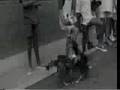 Barricada "Oveja negra"