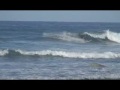 olea surf team