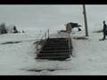 videos de justin piedmont biff.avi