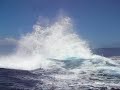 Whale Breaching Next to Boat