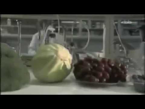 ESSEN IST MEDIZIN! Krebs (Krankheiten) über die Ernährung heilen.