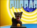 Puppardy