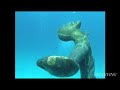 Cozumel Mar Caribe?????????????