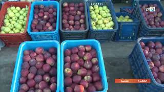 أسعار الخضار في سوق إنزكان بالجملة...التفاصيل في الربورتاج