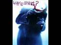 Why So Serious?