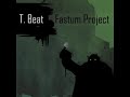 Fastum Project - T. Beat (Tornado Remix)