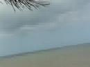 Sedili blotched Landing Sedili blotched Landing