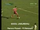 Golurile FC BOTOSANI  in sezonul 2007-2008