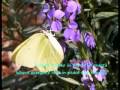nella fantasia   in my fantasy celtic woman